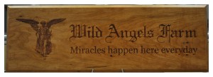 Angel plaque
